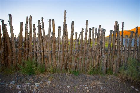 Wooden Fence Posts Free Stock Photo - Public Domain Pictures