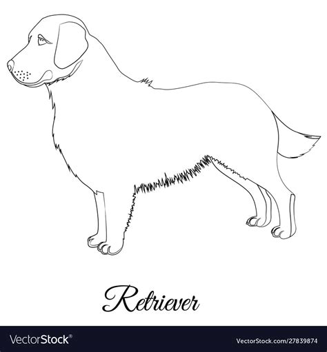 Golden retriever dog outline Royalty Free Vector Image