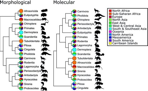 Evolutionary tree of life: modern science is showing how we got so much wrong