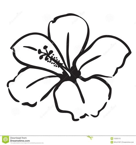 Hibiscus Flower Outline | Free download on ClipArtMag