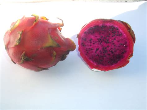 Fruit of Hylocereus costaricensis [Synonym: Hylocereus polyrhizus] - the Costa Rican Pitahaya ...