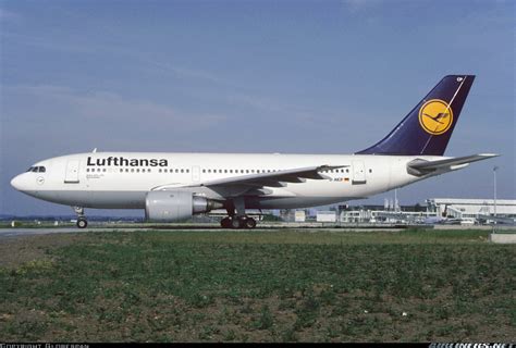 Airbus A310-203 - Lufthansa | Aviation Photo #6429719 | Airliners.net