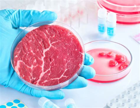 What is Cultured Meat? - Animal Cell Culture Products