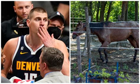 Nikola Jokic plans to buy another horse after the NBA Finals are over