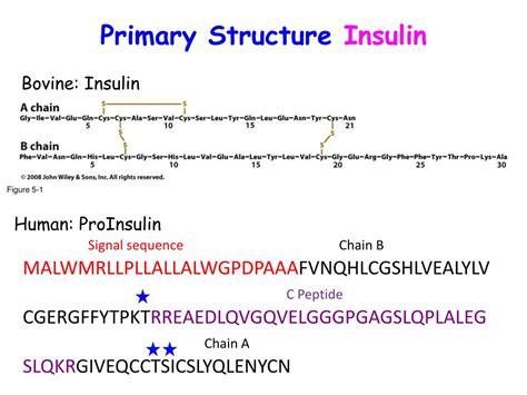 PPT - Protein Structure PowerPoint Presentation, free download - ID:3992495