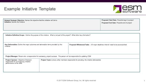 Examples of Strategic Initiatives: