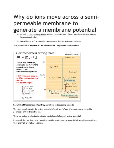 The Goldman equation - Class notes - Why do ions move across a semi ...