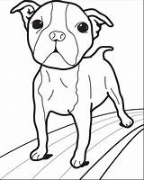 Printable Small Dog Coloring Page For Kids – SupplyMe sketch template