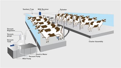 Parallel Parlor - Whitegold Technologies LLP