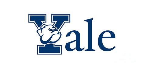 Yale Bulldogs Logo Digital Art by Sport Portal - Fine Art America