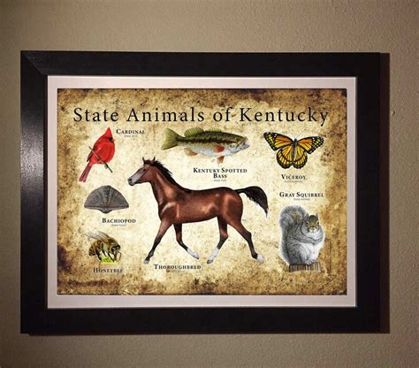 Kentucky State Animals Poster Print - Etsy