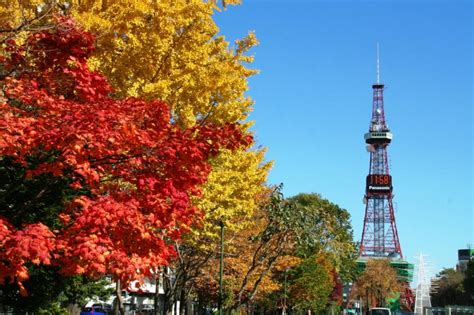 ODORI PARK – Visit Sapporo : The Official Travel Guide to Sightseeing ...