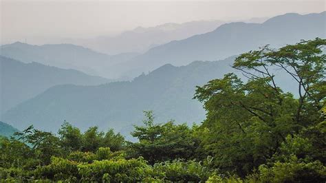 Tokyo Travel: Mitakesan (Mount Mitake)