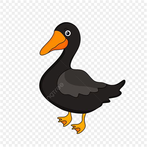 Caricatura Dibujado A Mano Pato Negro Clipart PNG ,dibujos Amarillo, Pintado A Mano, Encantador ...