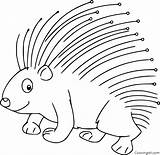 17 Free Printable Porcupine coloring pages Easy To Print From Any  sketch template