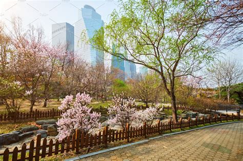 Yeouido Park in Seoul, Korea | Seoul, Korea, Seoul korea