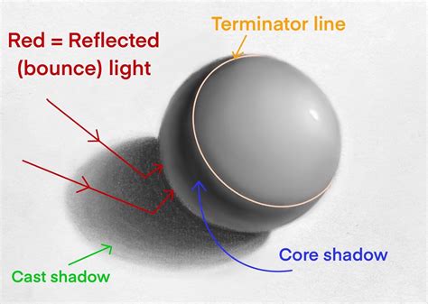 The Difference Between Core Shadows and Cast Shadows - Explained Figure ...