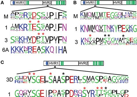 Conserved phosphorylation sites of interest. The conservation of... | Download Scientific Diagram