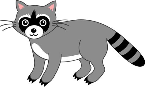 Racoon clipart 20 free Cliparts | Download images on Clipground 2024