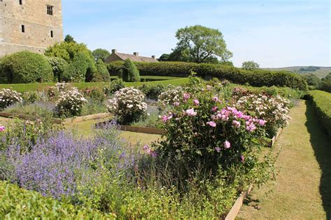 Bolton Castle in Wensleydale, family days out, falconry and weddings