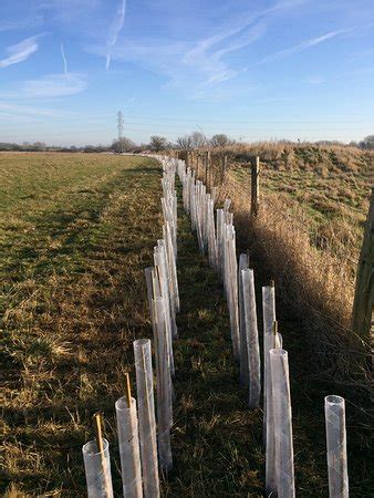 Abberton Reservoir Visitor Centre (Colchester) - 2018 All You Need to Know Before You Go (with ...