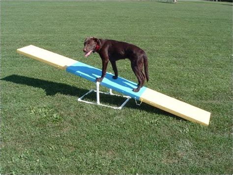 Top 15 Best Dog Agility Equipment Kits in 2017 (beginners & advanced)