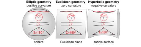 Graphical illustration of the properties of Euclidean and non-Euclidean... | Download Scientific ...