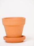 Small plant in a clay pot stock photo. Image of freshness - 9788004