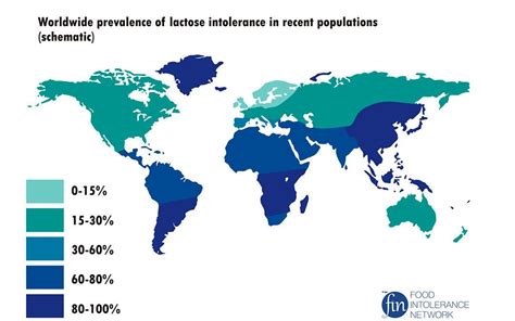 Intolerancia a la lactosa y malabsorción, ¿Por qué se produce?