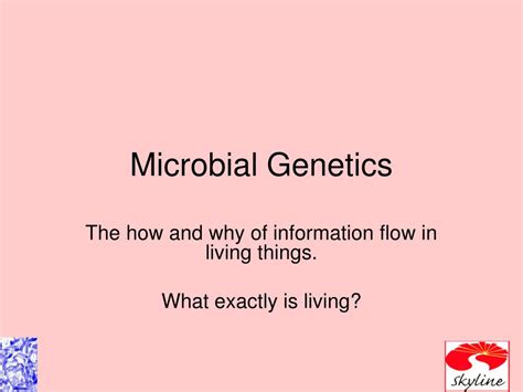 PPT - Microbial Genetics PowerPoint Presentation, free download - ID:6529263