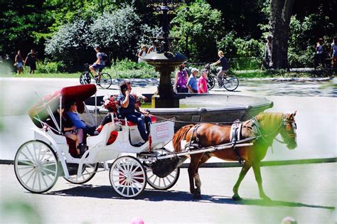 Central Park Carriage Rides | NYC Horse & Carriage Rides