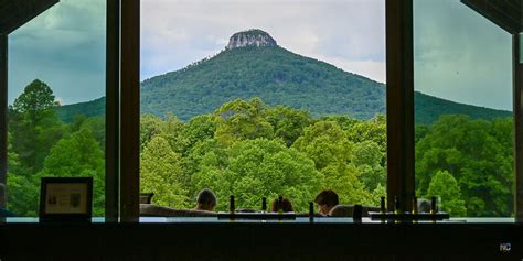 Surry County NC (16 Best Things to Do, Wineries, and More!)