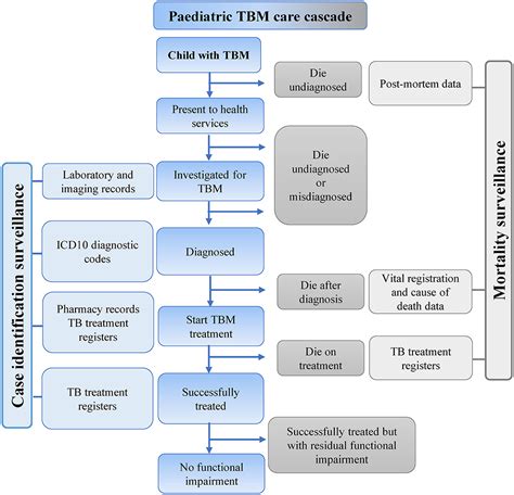 Frontiers | Tuberculous Meningitis in Children: A Forgotten Public Health Emergency