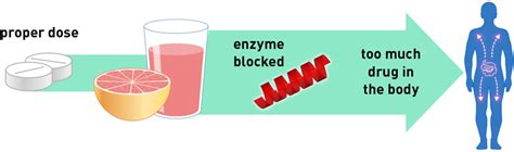 Grapefruit Juice and Some Drugs Don't Mix | FDA