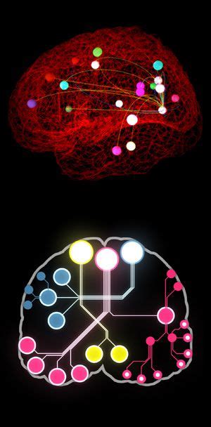 Human brain mapping project - modepassa