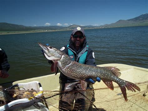 OUTDOORS NM: Eagle Nest the Hot Spot for Pike Fishing this Memorial Day Weekend