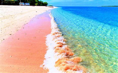 The Pink Beach of the Philippines - PhilWonders 101