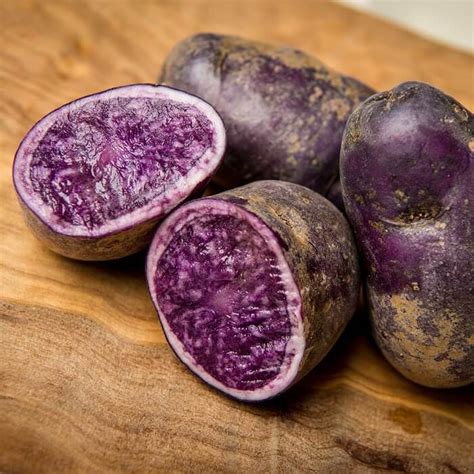 Purple Sweet Potato Seeds, 100pcs/pack – GreenSeedGarden