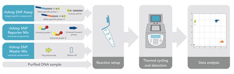 rhAmp SNP Genotyping
