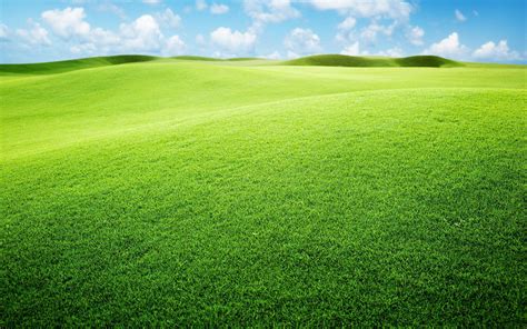 Grassland Backgrounds - Wallpaper Cave