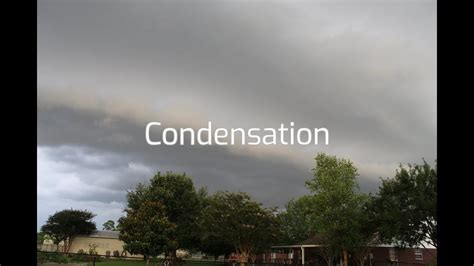 Condensation - Weather Timelapse 4k - YouTube