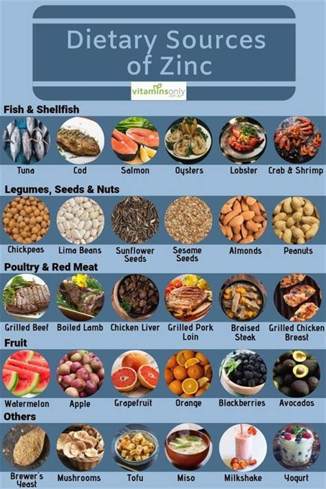 Dietary Sources of Zinc | Zinc rich foods, Vitamin rich foods, Health and nutrition