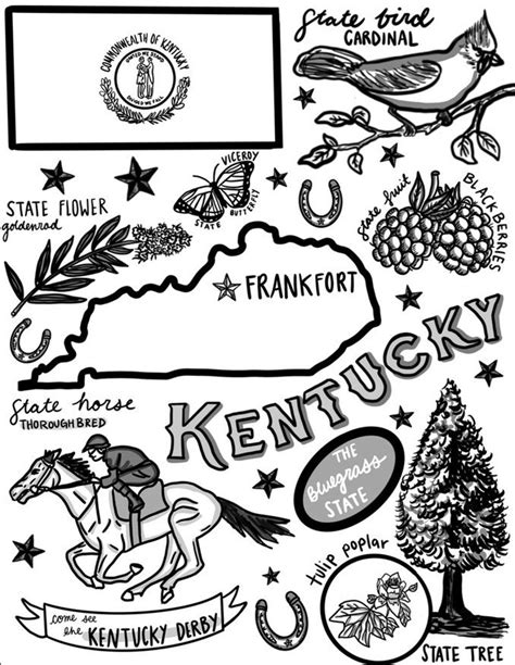 Kentucky Coloring Page - Etsy