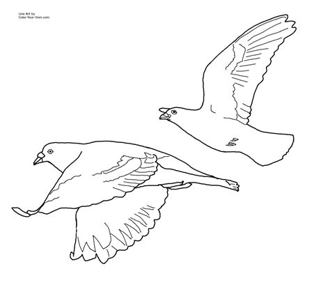 flying bird outline Colouring Pages