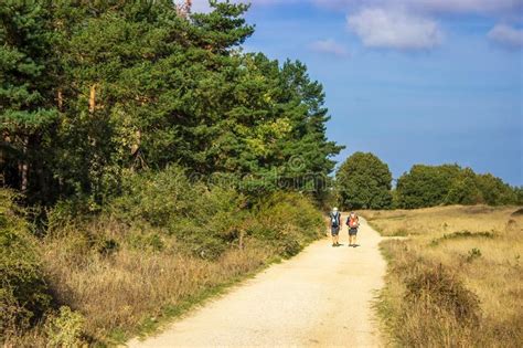 San Juan De Ortega, Spain - Two Pilgrims Hiking through Field and Forest Along the Way of St ...