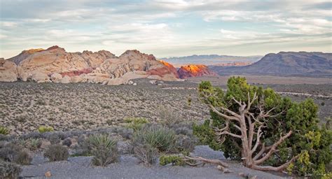 Red Rock Canyon Sunset Nevada Wall Art Desert Photography Red Rock ...