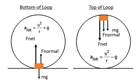 Centripetal Force Roller Coaster