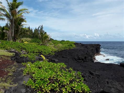 Stunning Oceanfront Land in Hawaiian Paradise Park - Hawaii Real Estate Market & Trends | Hawaii ...