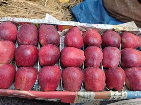 Kashmiri A Grade Fresh Kashmir Apple, Packaging Type: Wood Box, Kasmir at Rs 100/kg in Shimla