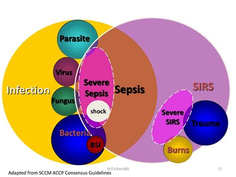 Septic shock Pathophysiology